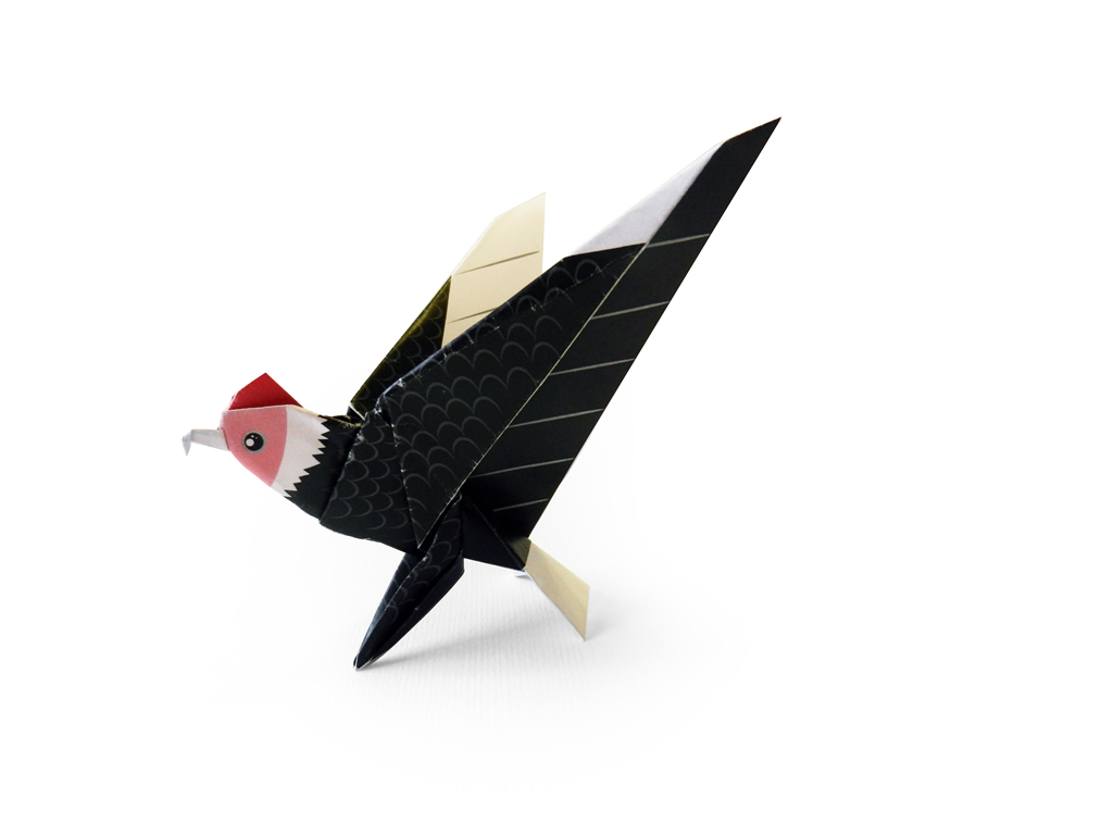 Chile de Papel Origamix